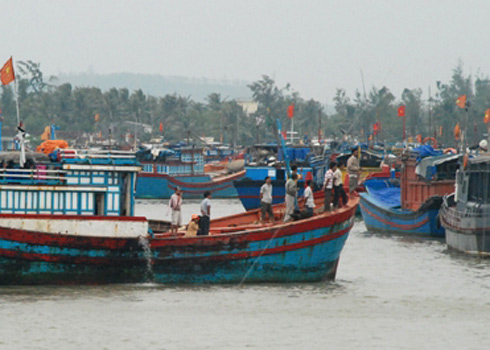 Khai thác thuỷ sản an toàn, góp phần giữ vững an ninh, trật tự trên biển